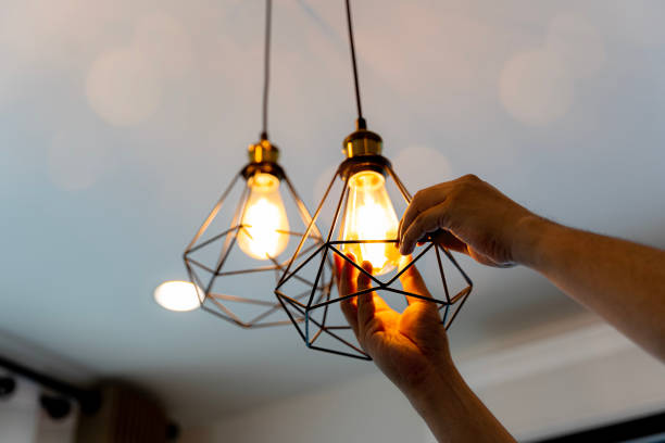 Best Electric Panel Repair  in Michigan City, IN
